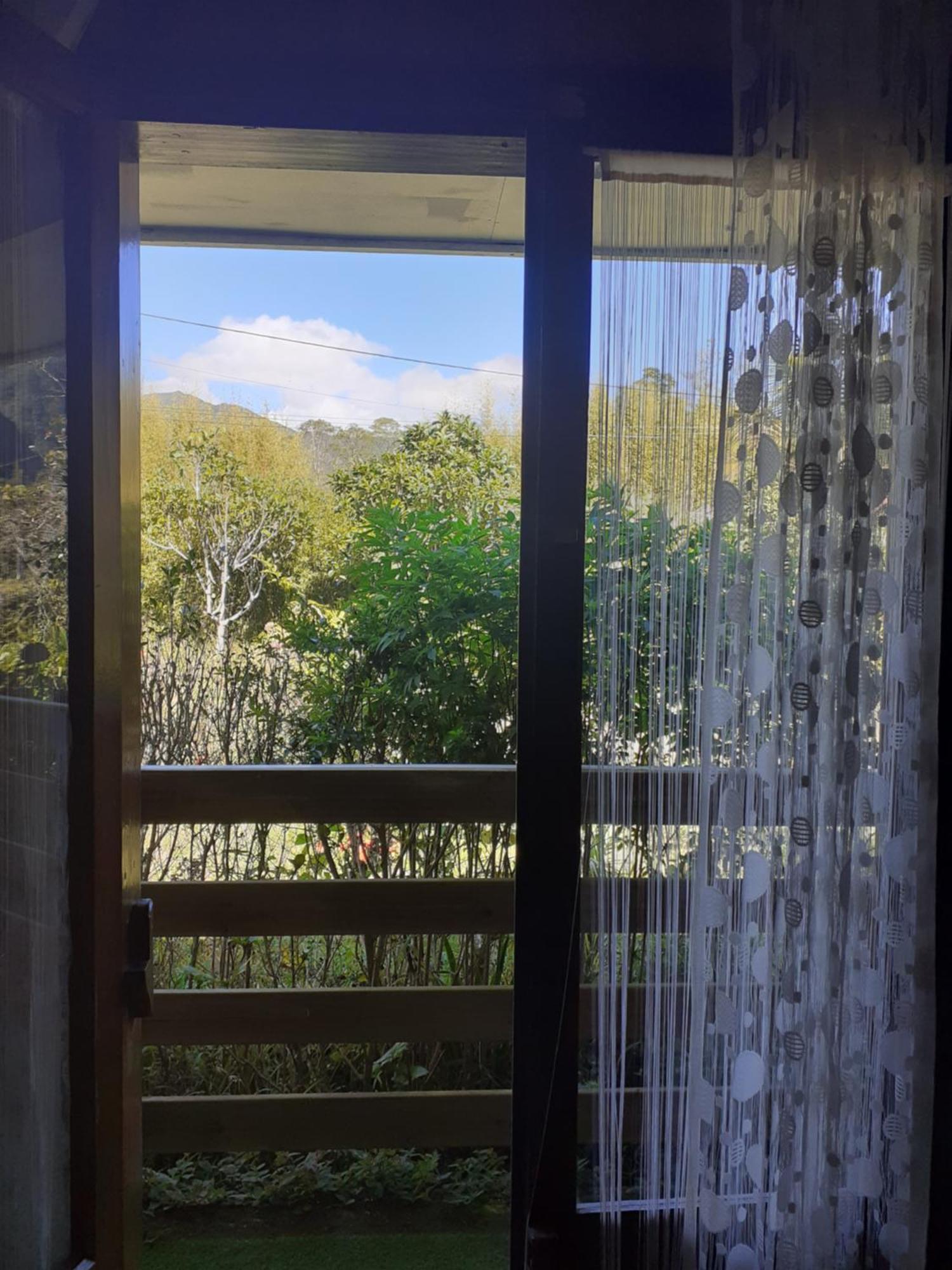 Le Clos Des Mimosas La Plaine des Palmistes Buitenkant foto