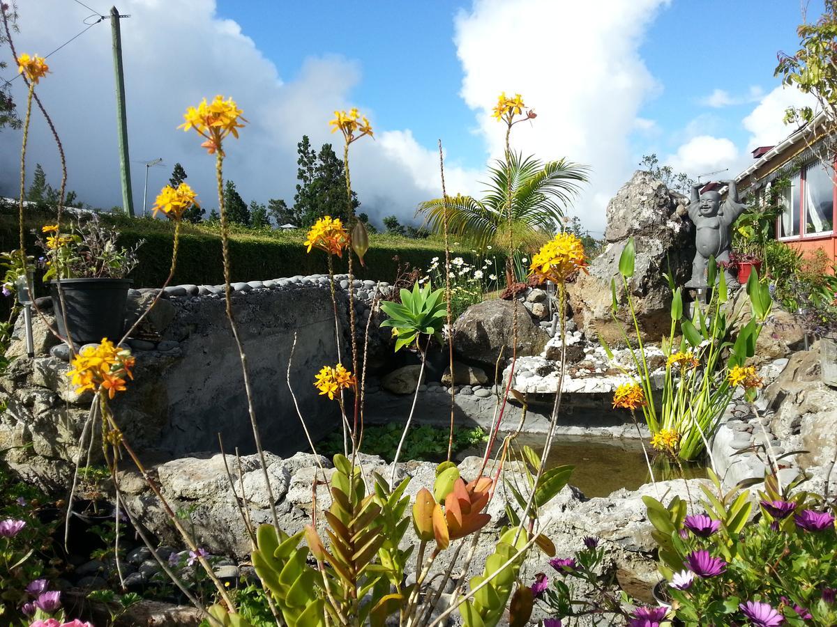 Le Clos Des Mimosas La Plaine des Palmistes Buitenkant foto